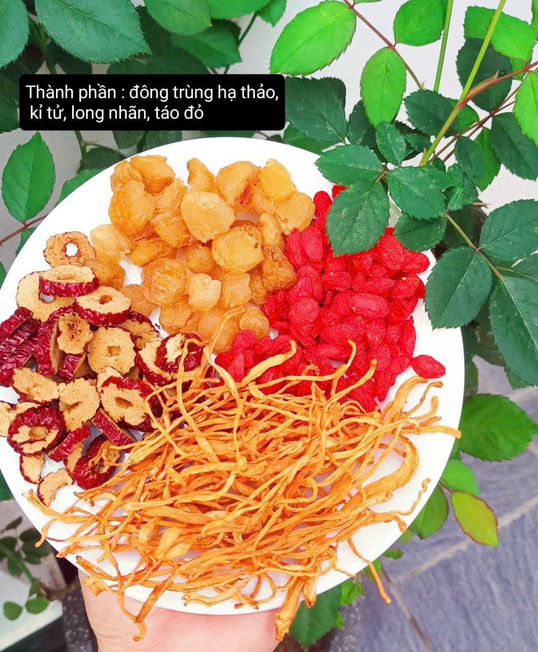 Trà đông trùng tứ vị